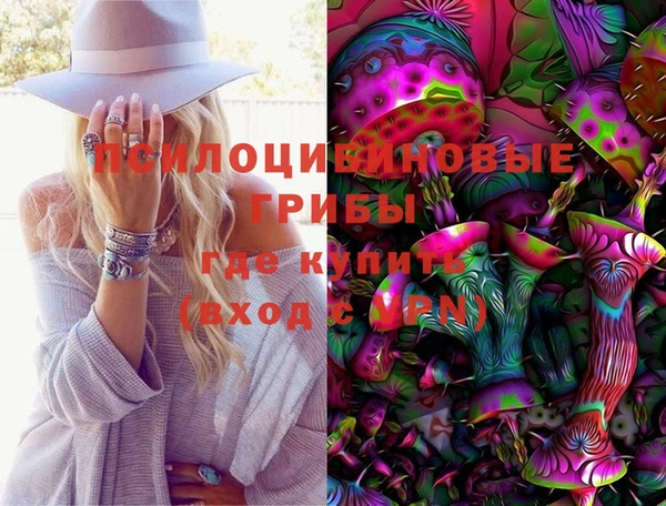 бошки Алексеевка